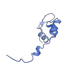 12720_7o4j_J_v1-2
Yeast RNA polymerase II transcription pre-initiation complex (consensus)
