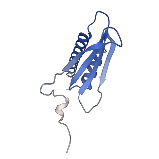12720_7o4j_K_v1-2
Yeast RNA polymerase II transcription pre-initiation complex (consensus)
