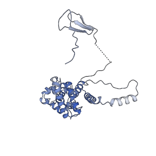 12720_7o4j_M_v1-2
Yeast RNA polymerase II transcription pre-initiation complex (consensus)