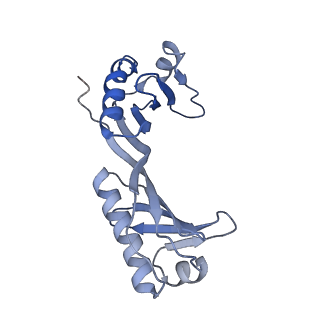 12720_7o4j_O_v1-2
Yeast RNA polymerase II transcription pre-initiation complex (consensus)