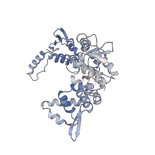 12721_7o4k_2_v1-2
Yeast TFIIH in the contracted state within the pre-initiation complex