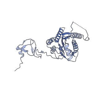 12721_7o4k_4_v1-2
Yeast TFIIH in the contracted state within the pre-initiation complex