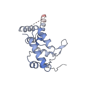 12721_7o4k_D_v1-2
Yeast TFIIH in the contracted state within the pre-initiation complex