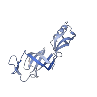 12721_7o4k_G_v1-2
Yeast TFIIH in the contracted state within the pre-initiation complex