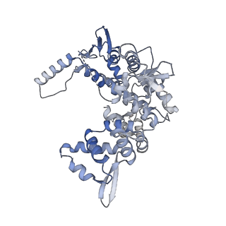 12722_7o4l_2_v1-2
Yeast TFIIH in the expanded state within the pre-initiation complex