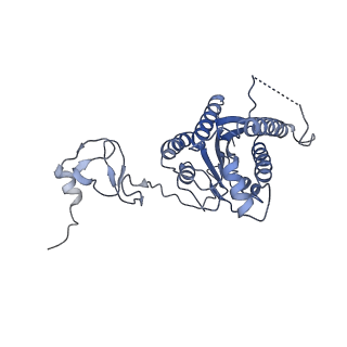 12722_7o4l_4_v1-2
Yeast TFIIH in the expanded state within the pre-initiation complex