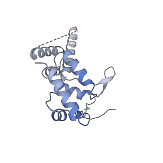 12722_7o4l_D_v1-2
Yeast TFIIH in the expanded state within the pre-initiation complex