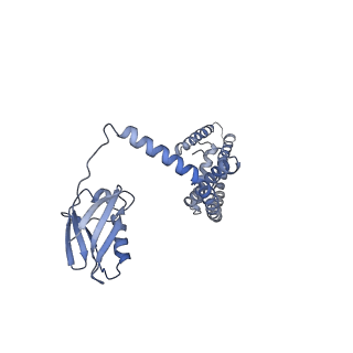 0625_6o58_A_v1-3
Human MCU-EMRE complex, dimer of channel