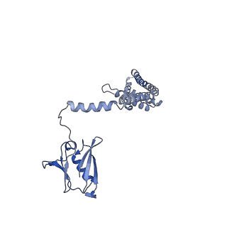 0625_6o58_C_v1-3
Human MCU-EMRE complex, dimer of channel