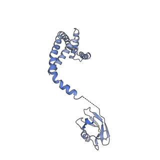 0625_6o58_G_v1-3
Human MCU-EMRE complex, dimer of channel