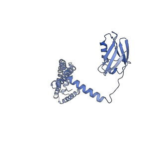 0625_6o58_I_v1-3
Human MCU-EMRE complex, dimer of channel