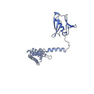 0625_6o58_K_v1-3
Human MCU-EMRE complex, dimer of channel