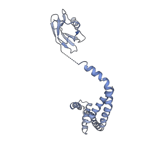 0625_6o58_O_v1-3
Human MCU-EMRE complex, dimer of channel