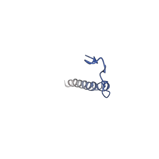0626_6o5b_B_v1-2
Monomer of a cation channel