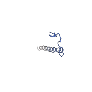 0626_6o5b_B_v1-3
Monomer of a cation channel