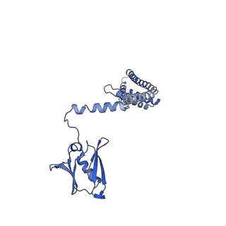 0626_6o5b_C_v1-3
Monomer of a cation channel