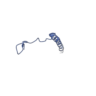 0626_6o5b_D_v1-3
Monomer of a cation channel