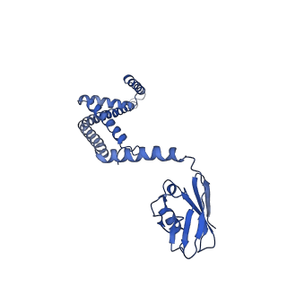 0626_6o5b_E_v1-2
Monomer of a cation channel