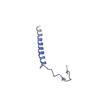 0626_6o5b_F_v1-3
Monomer of a cation channel