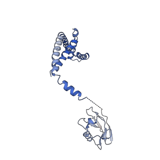 0626_6o5b_G_v1-3
Monomer of a cation channel