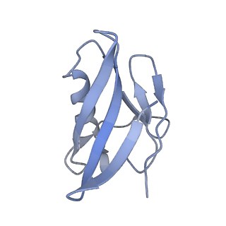 0626_6o5b_I_v1-2
Monomer of a cation channel