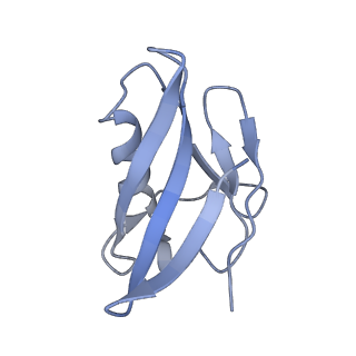 0626_6o5b_I_v1-3
Monomer of a cation channel