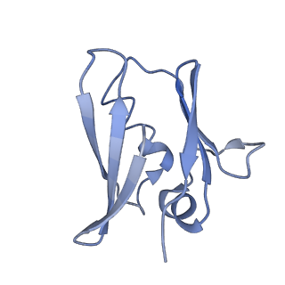 0626_6o5b_J_v1-2
Monomer of a cation channel