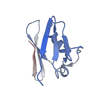 0626_6o5b_K_v1-2
Monomer of a cation channel