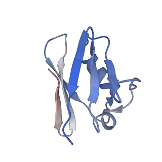 0626_6o5b_K_v1-3
Monomer of a cation channel