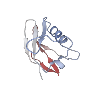 0626_6o5b_L_v1-3
Monomer of a cation channel