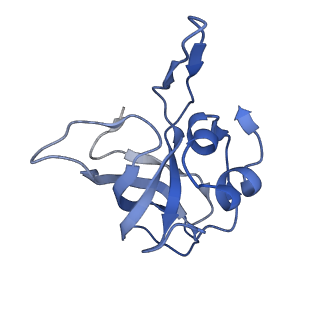 12734_7o5b_f_v1-1
Cryo-EM structure of a Bacillus subtilis MifM-stalled ribosome-nascent chain complex with (p)ppGpp-SRP bound