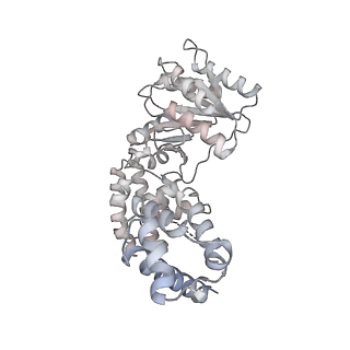 12734_7o5b_g_v1-1
Cryo-EM structure of a Bacillus subtilis MifM-stalled ribosome-nascent chain complex with (p)ppGpp-SRP bound