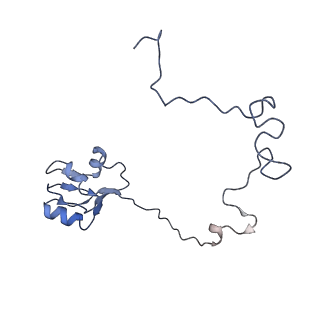 12734_7o5b_i_v1-1
Cryo-EM structure of a Bacillus subtilis MifM-stalled ribosome-nascent chain complex with (p)ppGpp-SRP bound