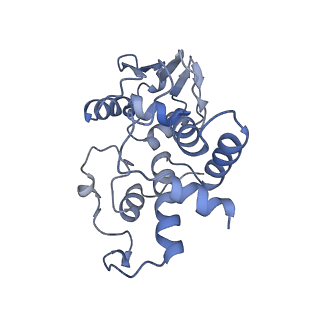 12736_7o5h_D_v1-2
Ribosomal methyltransferase KsgA bound to small ribosomal subunit