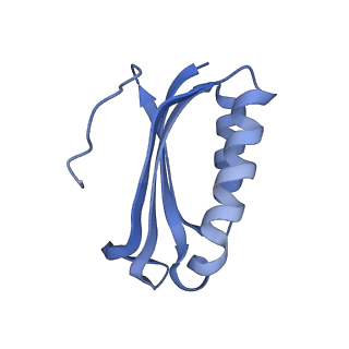 12736_7o5h_F_v1-2
Ribosomal methyltransferase KsgA bound to small ribosomal subunit