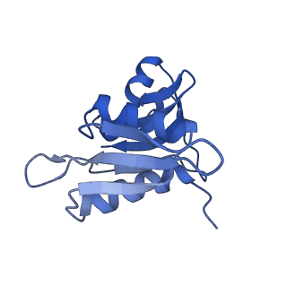 12736_7o5h_H_v1-2
Ribosomal methyltransferase KsgA bound to small ribosomal subunit