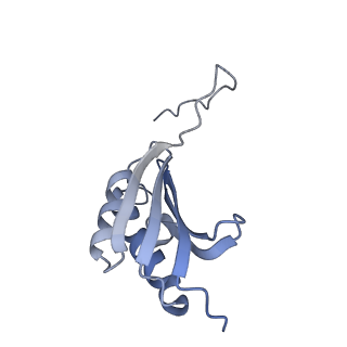 12736_7o5h_K_v1-2
Ribosomal methyltransferase KsgA bound to small ribosomal subunit