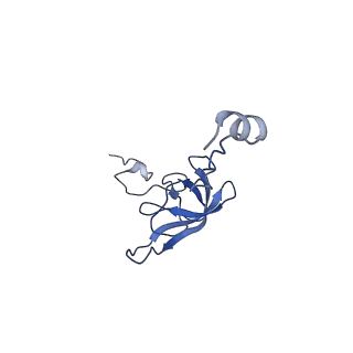 12736_7o5h_L_v1-2
Ribosomal methyltransferase KsgA bound to small ribosomal subunit