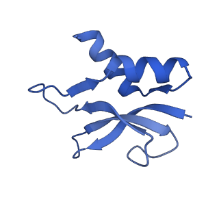 12736_7o5h_P_v1-2
Ribosomal methyltransferase KsgA bound to small ribosomal subunit