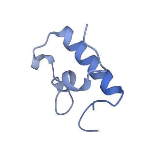 12736_7o5h_R_v1-2
Ribosomal methyltransferase KsgA bound to small ribosomal subunit