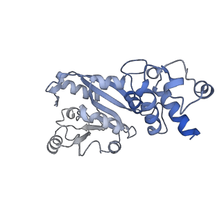 12736_7o5h_V_v1-2
Ribosomal methyltransferase KsgA bound to small ribosomal subunit