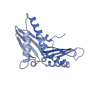 3748_5o5j_C_v1-3
Structure of the 30S small ribosomal subunit from Mycobacterium smegmatis