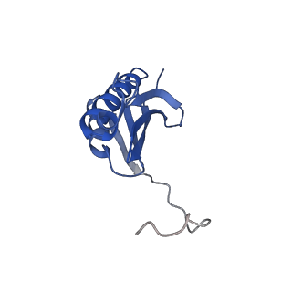 3748_5o5j_K_v1-3
Structure of the 30S small ribosomal subunit from Mycobacterium smegmatis
