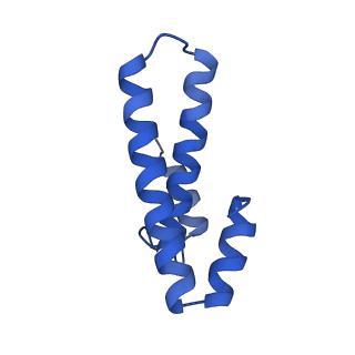 3748_5o5j_O_v1-3
Structure of the 30S small ribosomal subunit from Mycobacterium smegmatis