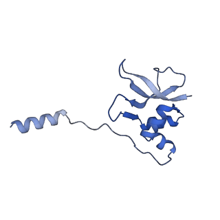 3748_5o5j_P_v1-3
Structure of the 30S small ribosomal subunit from Mycobacterium smegmatis