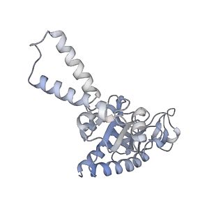 3748_5o5j_V_v1-3
Structure of the 30S small ribosomal subunit from Mycobacterium smegmatis