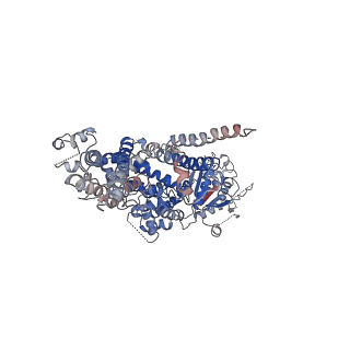 0631_6o6a_A_v1-3
Structure of the TRPM8 cold receptor by single particle electron cryo-microscopy, ligand-free state