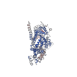 0631_6o6a_B_v1-4
Structure of the TRPM8 cold receptor by single particle electron cryo-microscopy, ligand-free state