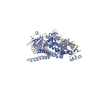 0631_6o6a_C_v1-3
Structure of the TRPM8 cold receptor by single particle electron cryo-microscopy, ligand-free state