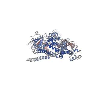 0631_6o6a_C_v1-4
Structure of the TRPM8 cold receptor by single particle electron cryo-microscopy, ligand-free state